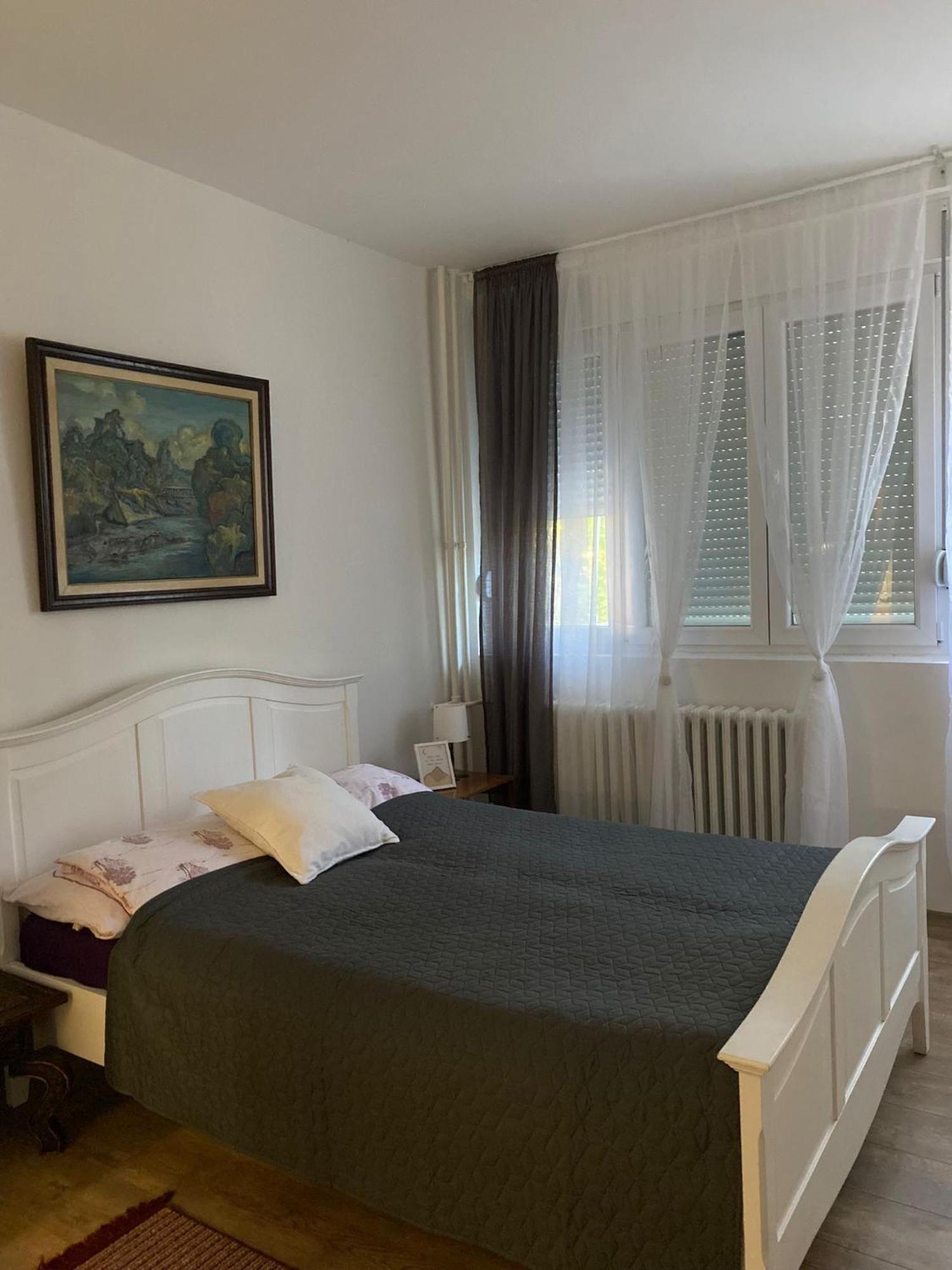 Vanja Apartman Вршац Экстерьер фото