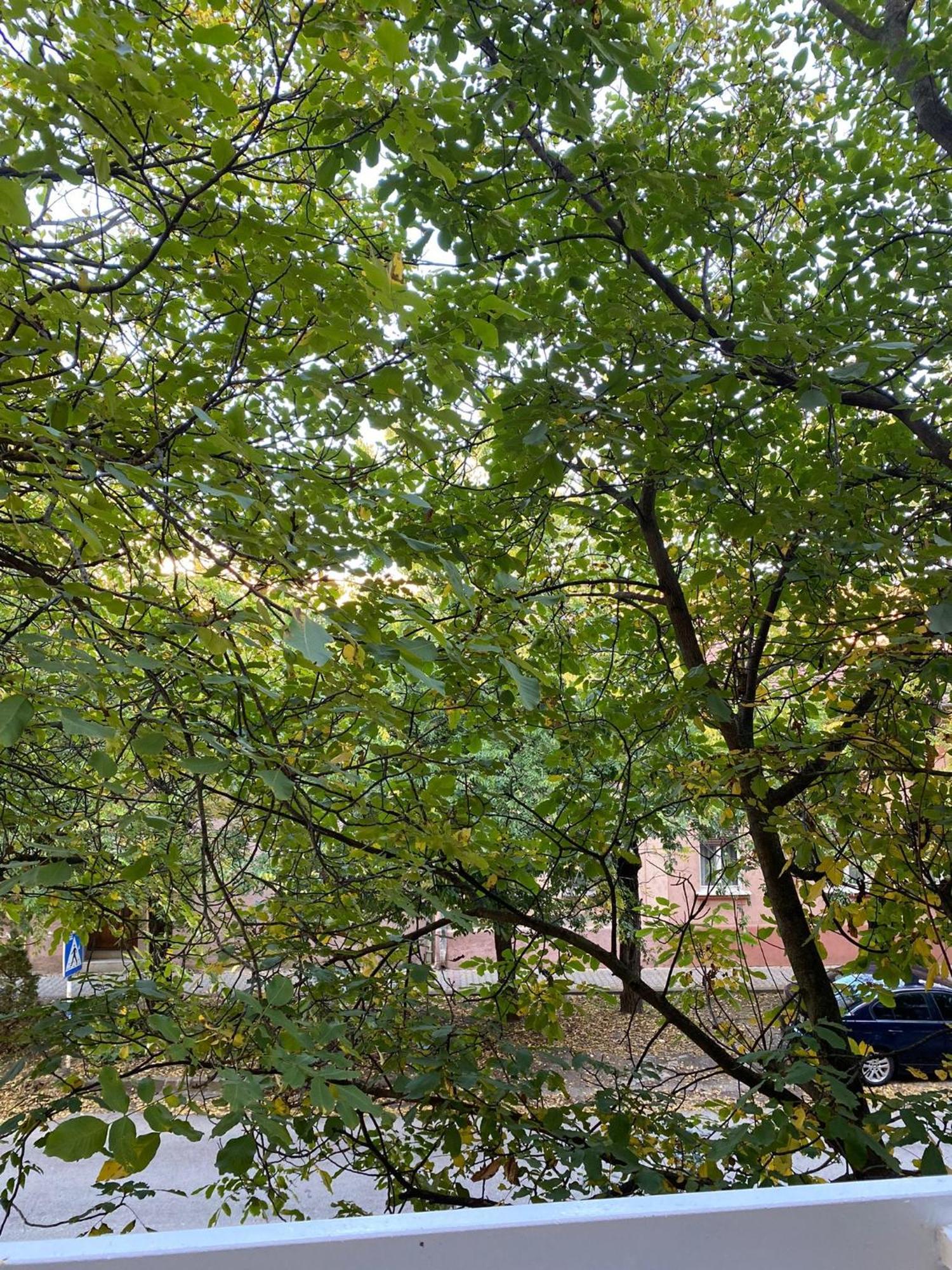 Vanja Apartman Вршац Экстерьер фото