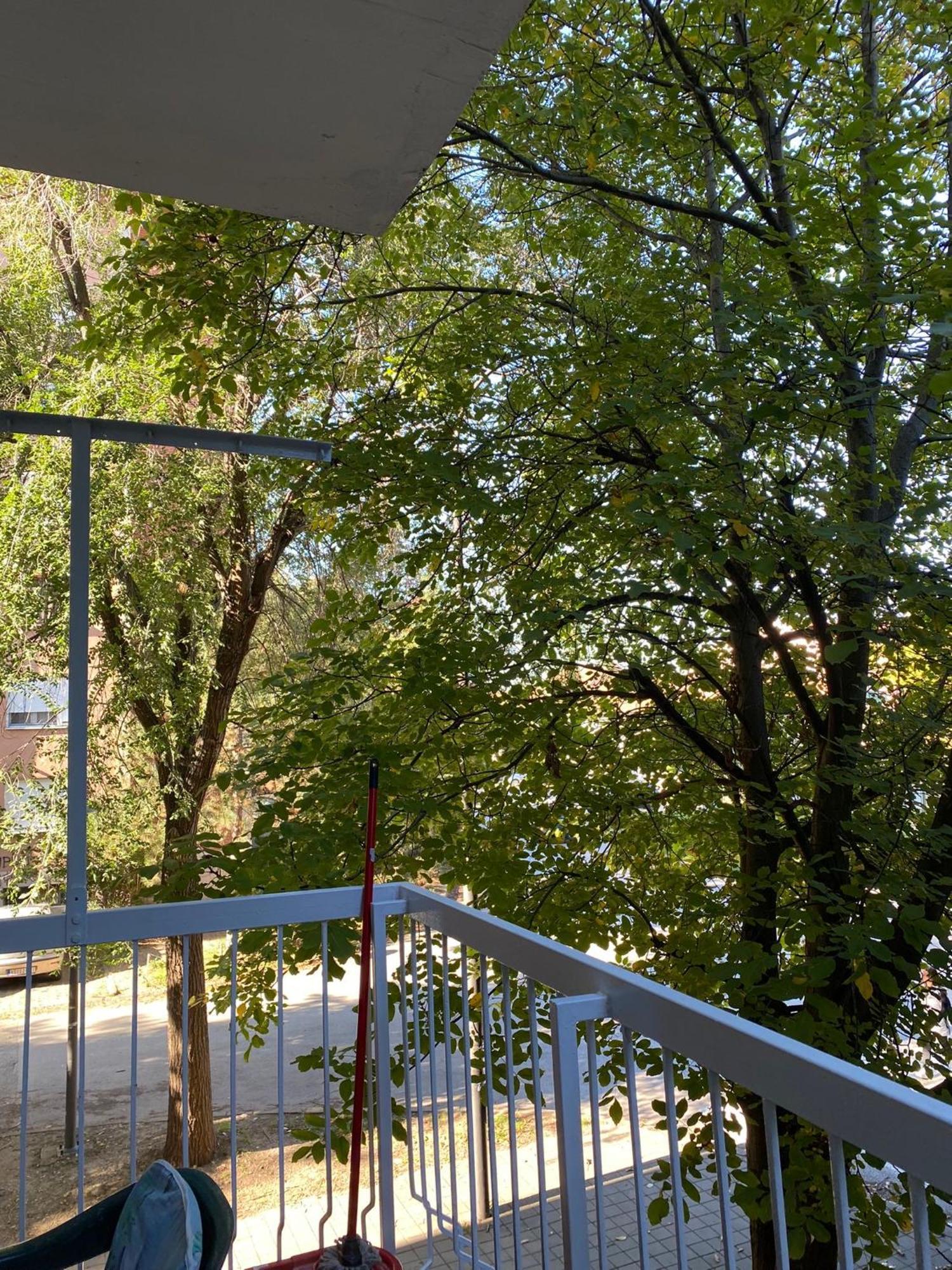 Vanja Apartman Вршац Экстерьер фото
